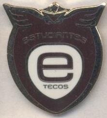 футбол.клуб Текос (Мексика) ЕМАЛЬ/Estudiantes Tecos FC,Mexico football pin badge