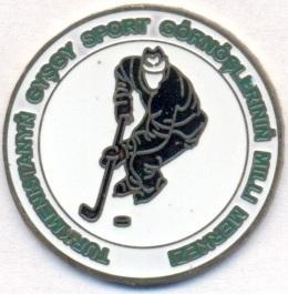 Туркменістан, федерація хокею, важмет / Turkmeniistan ice hockey federation pin