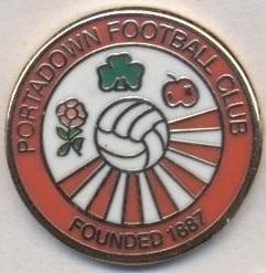 футбол.клуб Портадаун (Півн.Ірландія)2 ЕМАЛЬ/Portadown FC,N.Ireland football pin