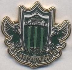 футбол.клуб Мацумото (Японія) ЕМАЛЬ / Matsumoto Yamaga, Japan football pin badge