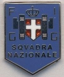 Італія,'давня'федерація футболу ЕМАЛЬ вип*/Italy football federation replica pin