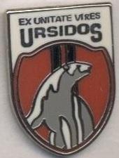 футбол.клуб Урсідос (Молдова) ЕМАЛЬ /Ursidos Chisinau,Moldova football pin badge