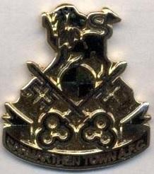 футбол.клуб Кармартен (Уельс)1 ЕМАЛЬ / Carmarthen Town, Wales football pin badge