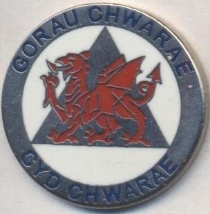 футбол.клуб Рос Айлвід (Уельс)2 ЕМАЛЬ / Rhos Aelwyd FC, Wales football pin badge