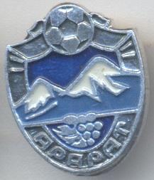 футбол.клуб Арарат Єреван (Вірменія)3 алюм/Ararat Yerevan,Armenia football badge