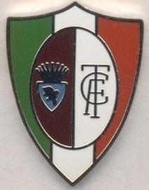 футбольний клуб Торіно (Італія) ЕМАЛЬ/Torino FC,Italy football replica pin badge