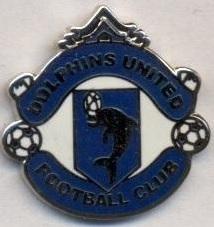 футбол.клуб Долфінс (Філіппіни) ЕМАЛЬ / Dolphins United,Philippines football pin