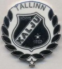 футбол.клуб Нимме Калью (Естонія)2 ЕМАЛЬ /Nomme Kalju,Estonia football pin badge