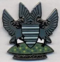 футбол.клуб Солсбері (Англія) ЕМАЛЬ/Salisbury City FC,England football pin badge