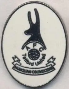 футбол.клуб Телфорд (Англія)1 ЕМАЛЬ/Telford United FC,England football pin badge