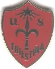 футбольний клуб Трієстіна (Італія)2 ЕМАЛЬ /US Triestina,Italy football pin badge
