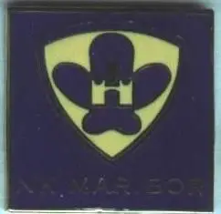 футбольний клуб Марибор (Словенія)2 ЕМАЛЬ/NK Maribor,Slovenia football pin badge
