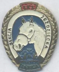 спортклуб кінний спорт (Польща) важмет /LKS Debica, Poland equestrian club badge