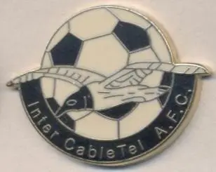 футбол.клуб Інтер Кардіфф (Уельс)2 ЕМАЛЬ/Inter Cardiff,Wales football pin badge