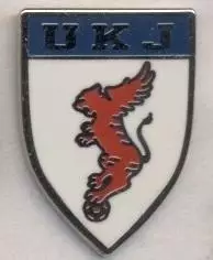 Корейці Японії,федер.футболу (не-ФІФА)2 ЕМАЛЬ/Koreans-Japan football federat.pin