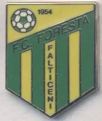 футбол.клуб Фореста Ф.(Румунія) ЕМАЛЬ /FC Foresta Falticeni,Romania football pin