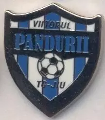 футбол.клуб Пандурій (Румунія)3 ЕМАЛЬ / Pandurii Targu Jiu, Romania football pin