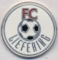 футбольний клуб Ліферинг (Австрія) ЕМАЛЬ/FC Liefering,Austria football pin badge