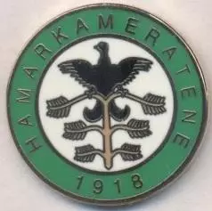 футбол.клуб Хамаркамератене (Норвегія2 ЕМАЛЬ/Hamarkameratene Norway football pin
