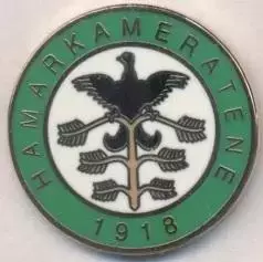 футбол.клуб Хамаркамератене (Норвегія2 ЕМАЛЬ/Hamarkameratene Norway football pin