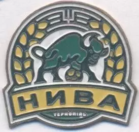 футбол.клуб Нива Тернопіль (Україна) важмет / Nyva Ternopil,Ukraine football pin