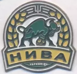 футбол.клуб Нива Тернопіль (Україна) важмет / Nyva Ternopil,Ukraine football pin