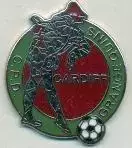 футбол.клуб Грандж Арлекінс (Уельс) ЕМАЛЬ / Grange Harlequins,Wales football pin