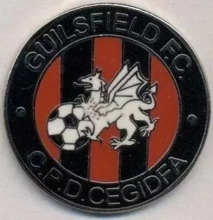 футбольний клуб Гілсфілд (Уельс)1 ЕМАЛЬ / Guilsfield FC,Wales football pin badge