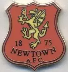 футбол.клуб Ньютаун (Уельс) ЕМАЛЬ / Newtown AFC, Wales football enamel pin badge