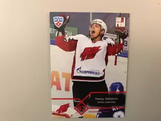 КХЛ . Сезон 2012 - 2013 . Томаш Заборски Словакия ( Авангард Омская область )