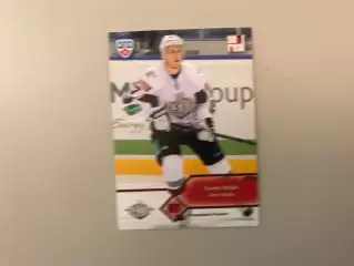 КХЛ . Сезон 2012 - 2013 . Гинтс Меня Латвия ( Динамо Рига )