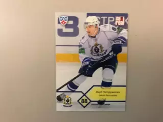 КХЛ . Сезон 2012 - 2013 . Якуб Петружалек Чехия ( Амур Хабаровск )
