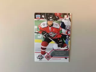 КХЛ . Сезон 2012 - 2013. Сергей Варламов Украина ( Донбасс Донецк )