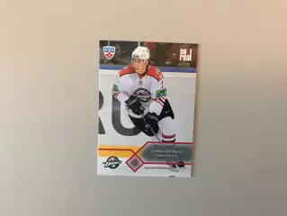 КХЛ . Сезон 2012 - 2013. Оскарс Бартулис Латвия ( Донбасс Донецк )