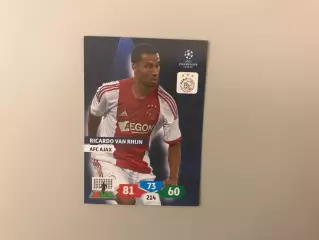 Лига Чемпионов 2013 - 2014 Рикардо ван Рих ( Аякс Амстердам , Нидерланды )