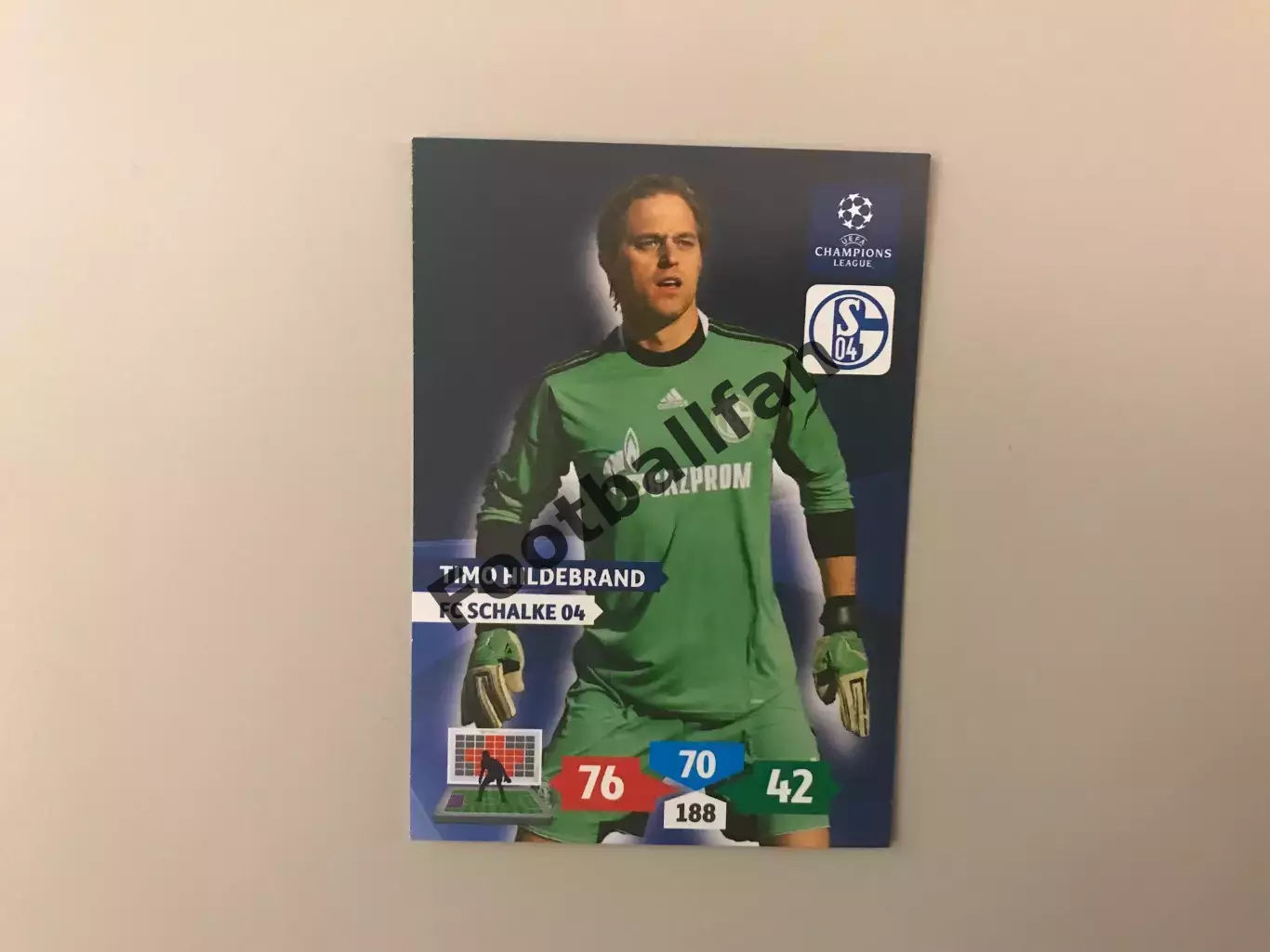 Лига Чемпионов 2013 - 2014 Тимо Хильдебранд Германия ( Шальке - 04 Германия )