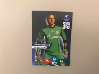 Лига Чемпионов 2013 - 2014 Тимо Хильдебранд Германия ( Шальке - 04 Германия )