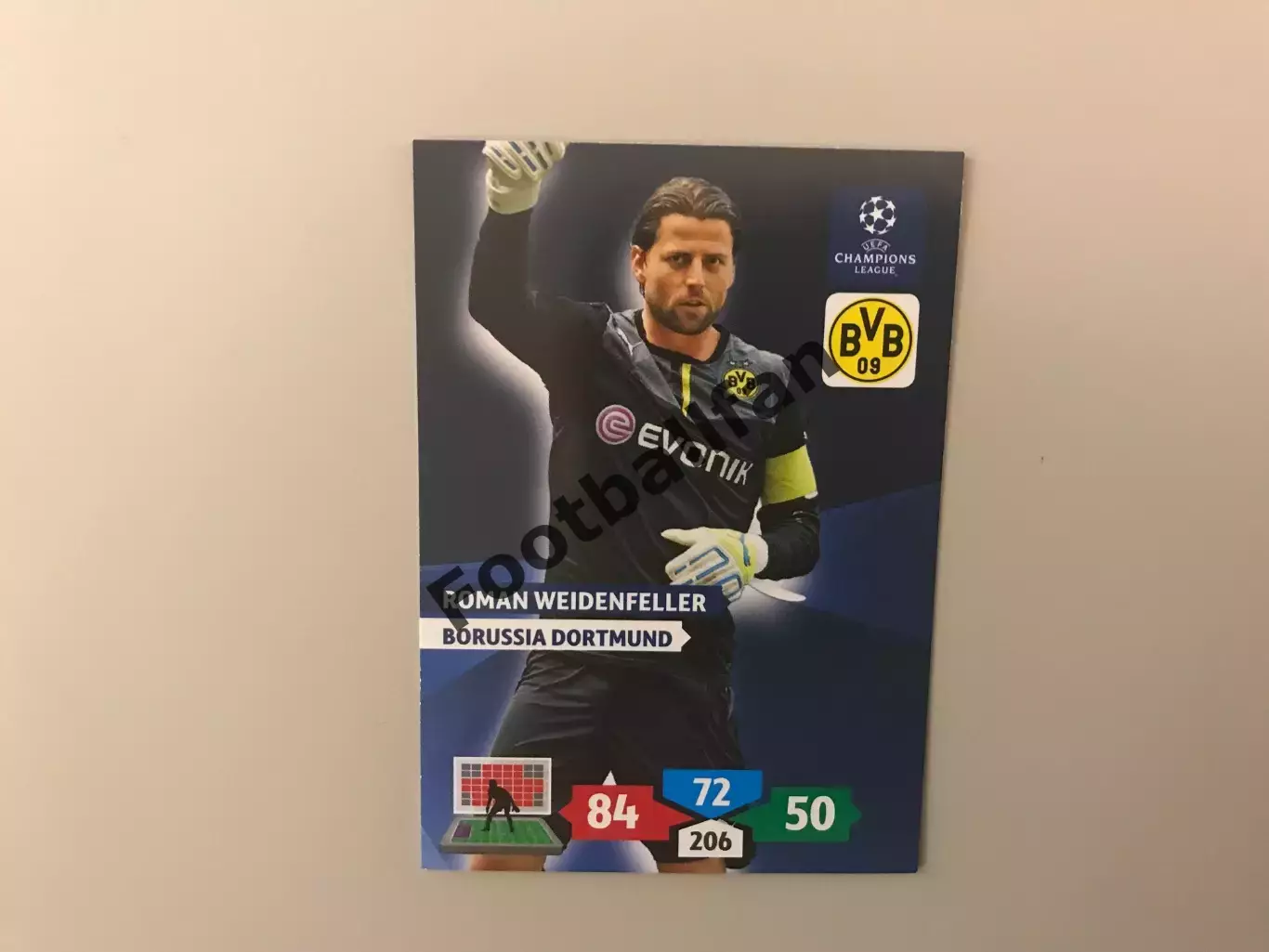 Лига Чемпионов 2013 - 2014 Роман Вайденфеллер Германия ( Боруссия Германия )