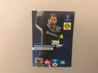 Лига Чемпионов 2013 - 2014 Роман Вайденфеллер Германия ( Боруссия Германия )