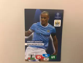 Лига Чемпионов 2013 - 2014 Винсент Компани Франция ( Манчестер Сити Англия )