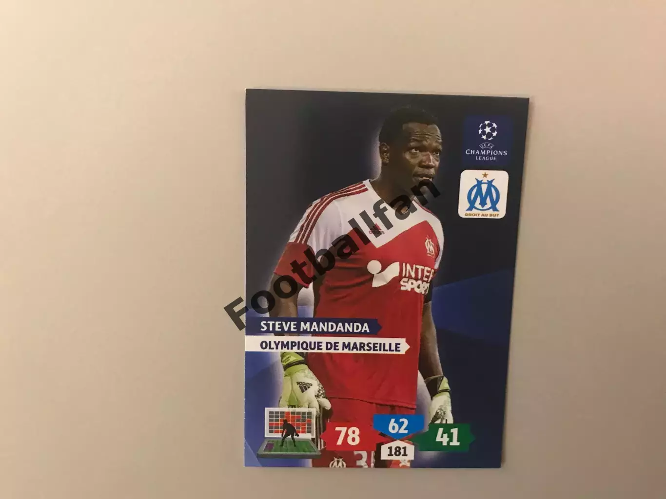 Лига Чемпионов 2013 - 2014 Стив Манданда Франция (Наполи Неаполь , Италия )