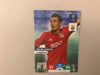 Лига Чемпионов 2013 - 2014 Оскар Кардозо Португалия ( Бенфика Португалия )