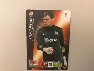 Лига Чемпионов 2012 - 2013 . Андрей Пятов Украина ( Шахтер Донецк , Украина )