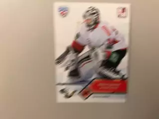 КХЛ . Сезон 2012 - 2013. Майкл Гарнетт Канада ( Трактор Челябинск )