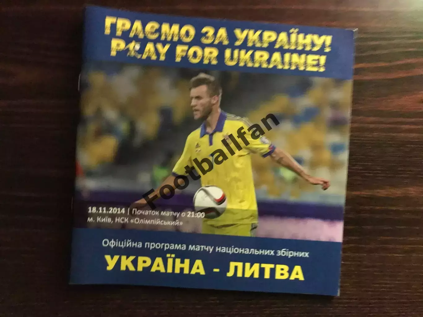 Украина - Литва 18.11.2014