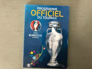 Евро - 2016 год . Франция . Официальная . Франц.язык