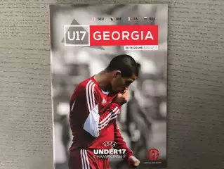Чемпионат Европы . U-17 .2015 . Грузия , Босния , Италия , Россия