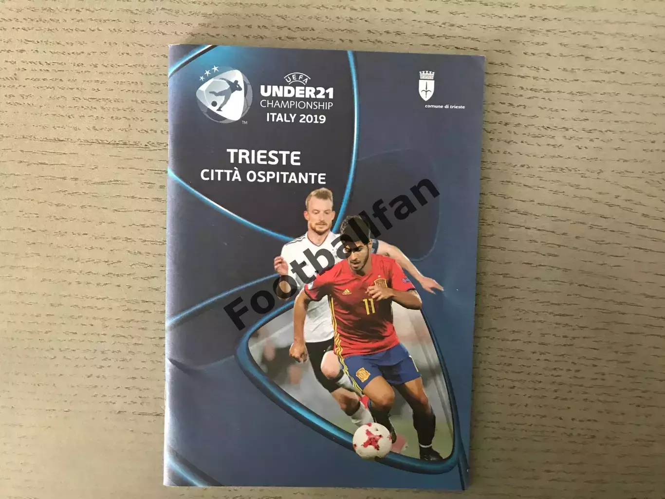 Чемпионат Европы .U-21. Триест .2019 . Сербия Германия Австрия Дания