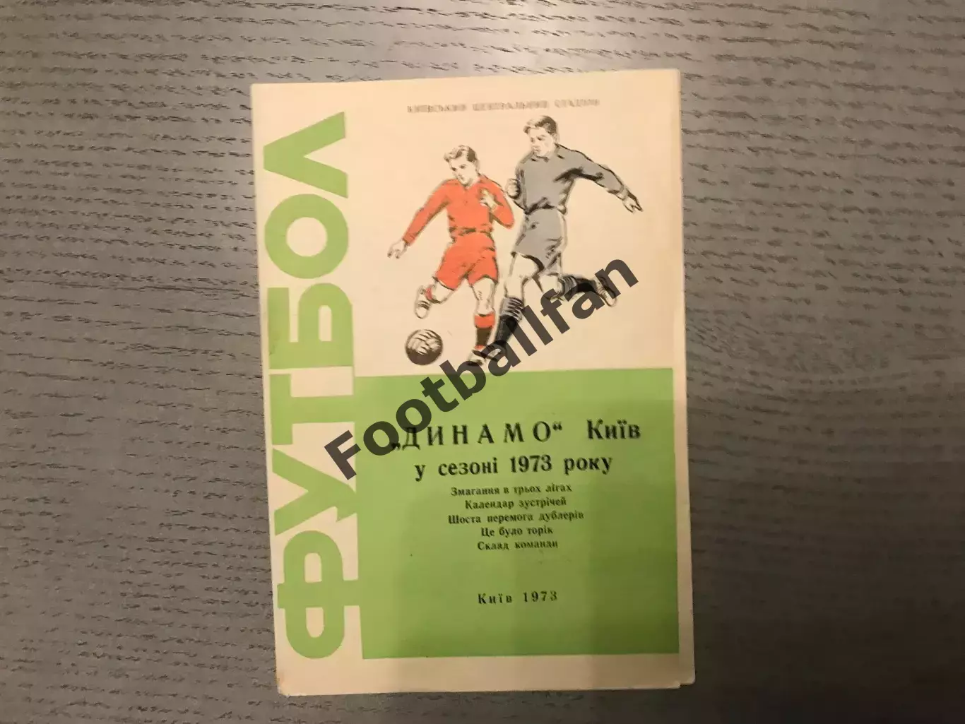 Динамо Киев в сезоне 1973 года