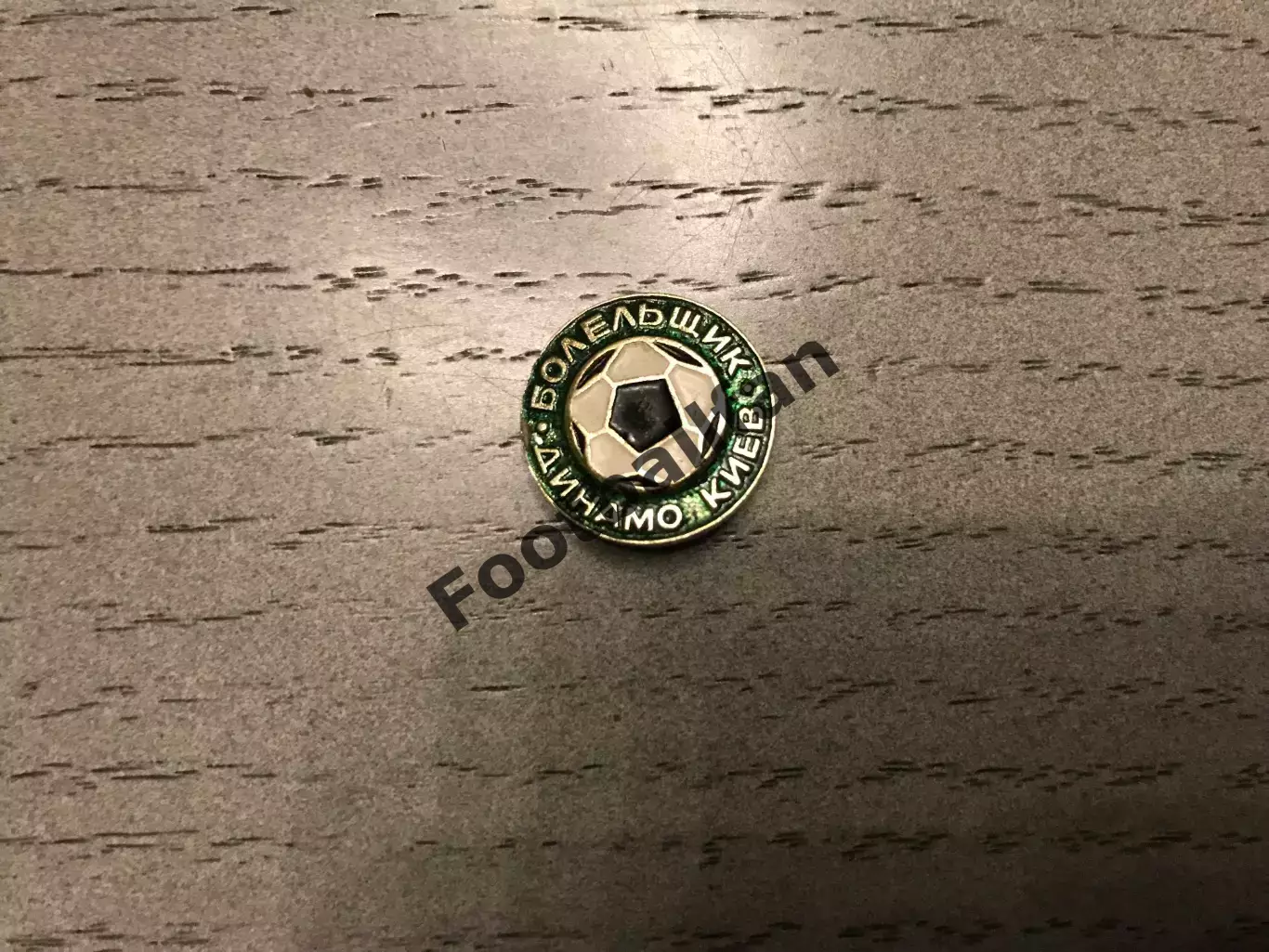 Динамо Киев . Болельщик . Зеленый .